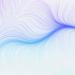 Noon News Digest - Friday 26th of September 2025