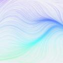 Noon News Digest - Monday 19th of May 2025