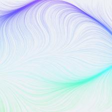 Noon News Digest - Sunday 4th of May 2025